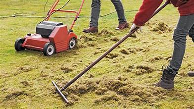 Dethatching equipment lifting excess lawn thatch